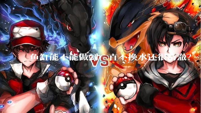 鱼缸能不能做到一直不换水还很清澈？