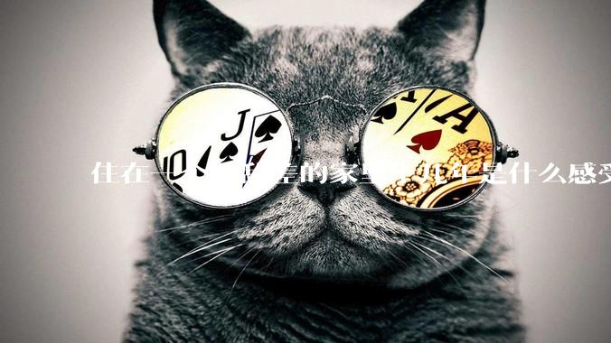 住在一个脏乱差的家里十几年是什么感受？