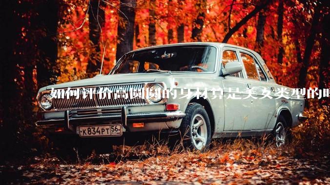 如何评价高圆圆的身材算是美女类型的吗？