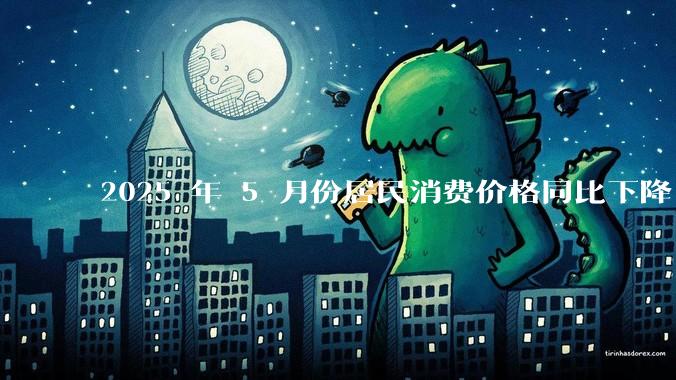 2025 年 5 月份居民消费价格同比下降 0.1%，如何看待这一数据？