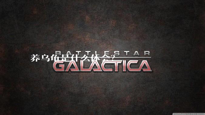 养乌龟是什么体会？